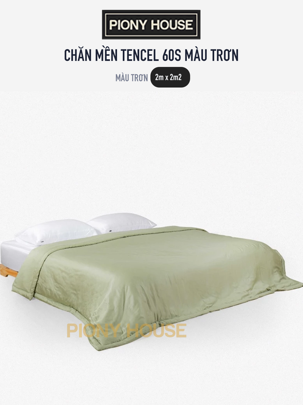 xanh bơ.png